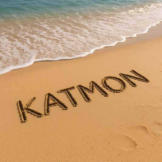 🌸 Why We Chose the Name Katmon – A Sassy Origin Story